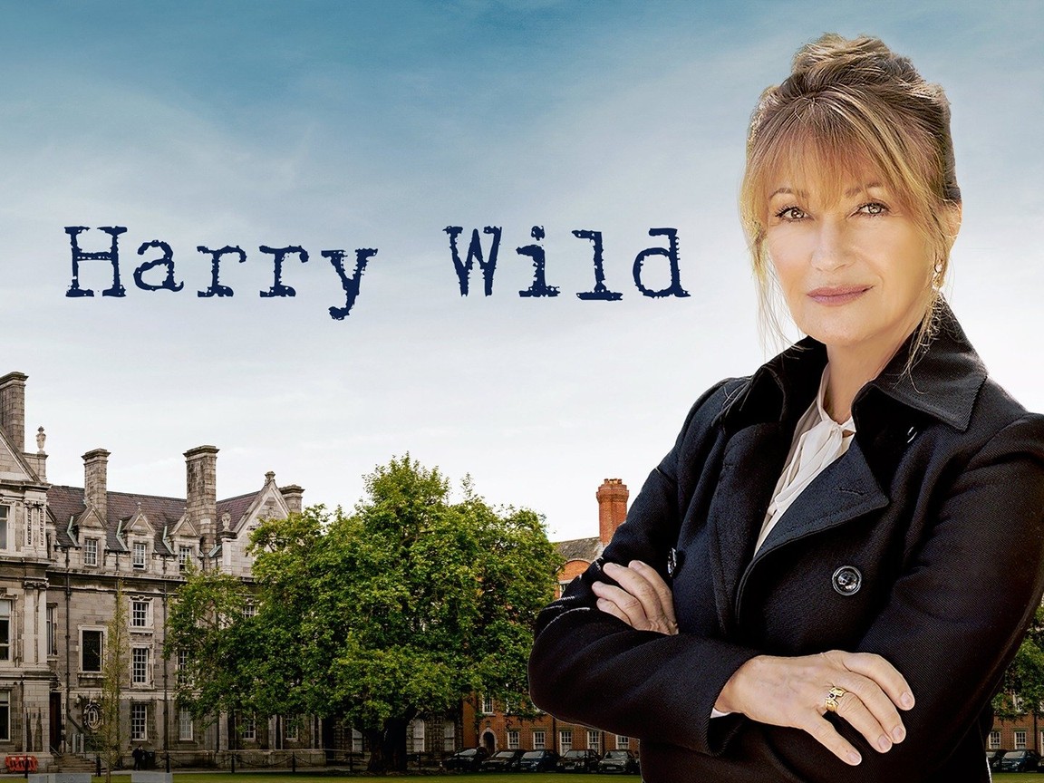 Harry Wild Episode 9 Release Date