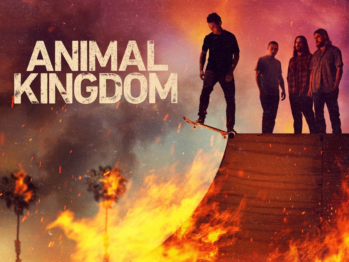 Animal Kingdom Season 6 Episode 6 Release Date