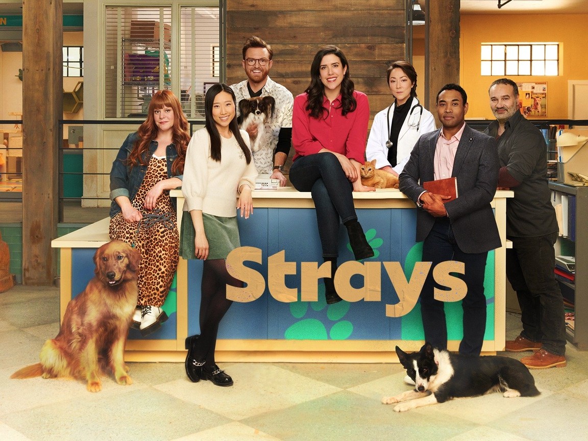 Strays Season 2 Episode 2 Release Date